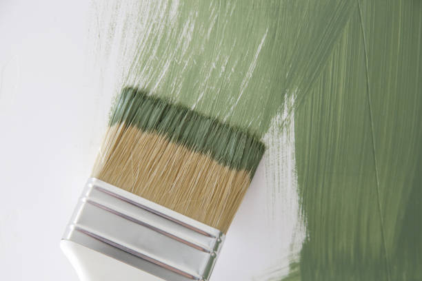 Best Basement Mold Removal  in Dallas Center, IA