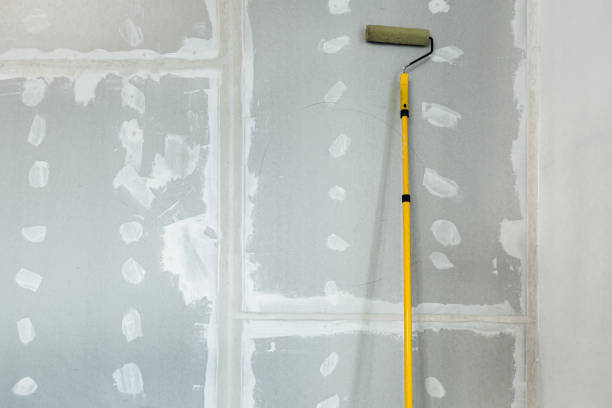 Best Industrial Mold Remediation  in Dallas Center, IA
