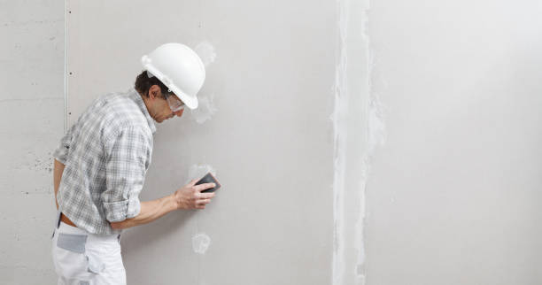 Best Comprehensive Air Testing for Mold Contaminants  in Dallas Center, IA