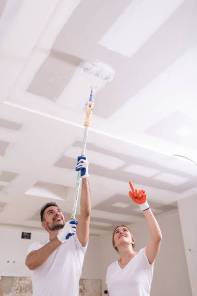 Best Black Mold Removal  in Dallas Center, IA