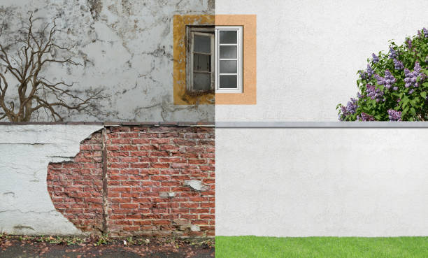 Best Real Estate Mold Inspection  in Dallas Center, IA