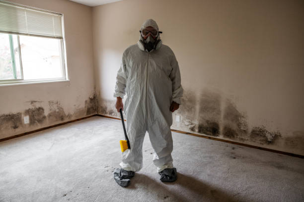 Best Mold Odor Removal Services  in Dallas Center, IA